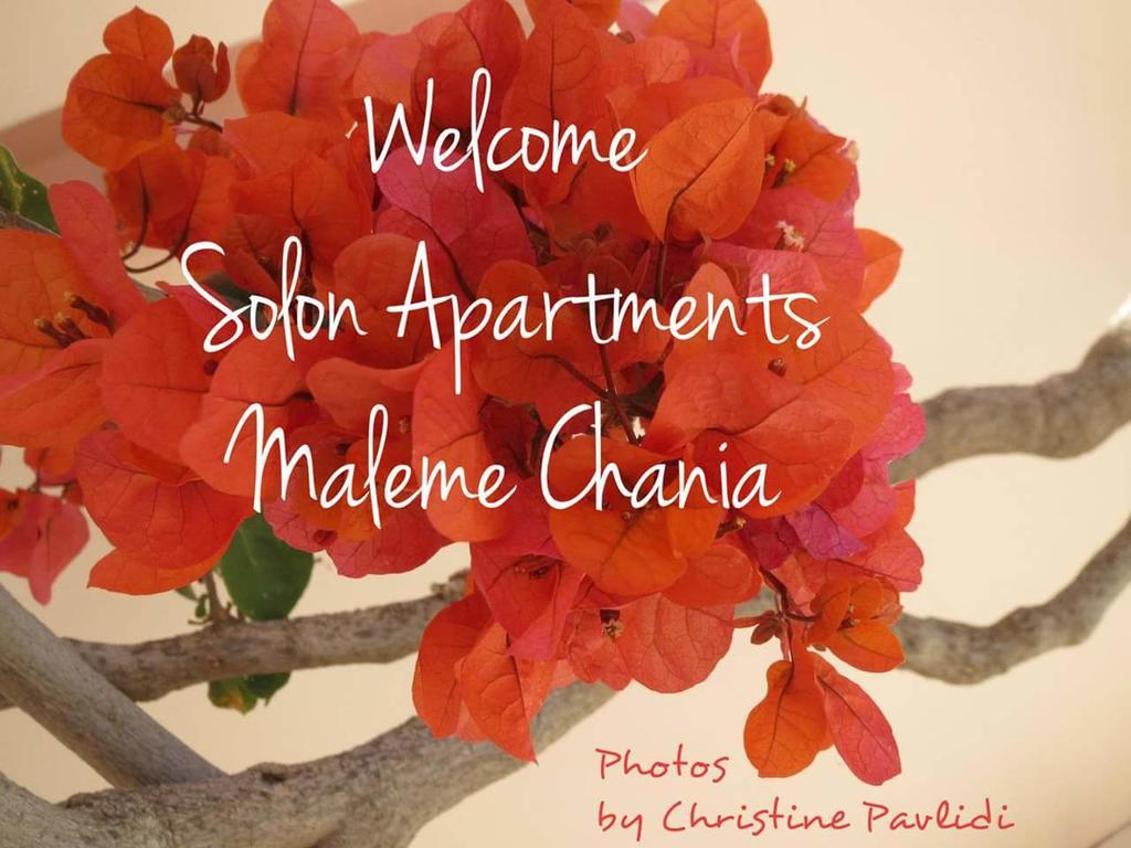 Solon Apartments Maleme Dış mekan fotoğraf